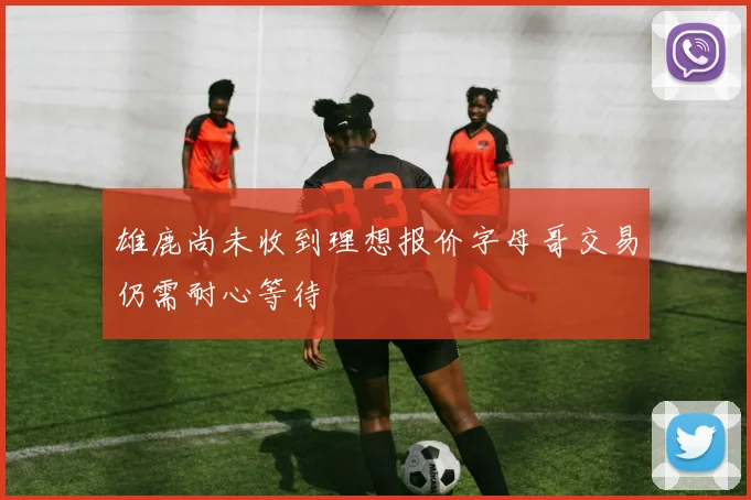 雄鹿尚未收到理想报价字母哥交易仍需耐心等待